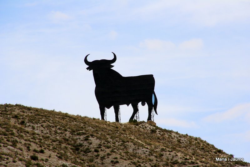 El toro espanyol